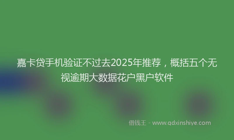 嘉卡贷手机验证不过去2025年推荐，概括五个无视逾期大数据花户黑户软件