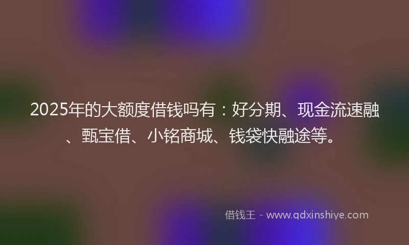 2025年的大额度借钱吗有：好分期、现金流速融、甄宝借、小铭商城、钱袋快融途等。