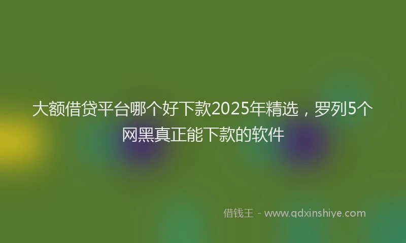 大额借贷平台哪个好下款2025年精选，罗列5个网黑真正能下款的软件