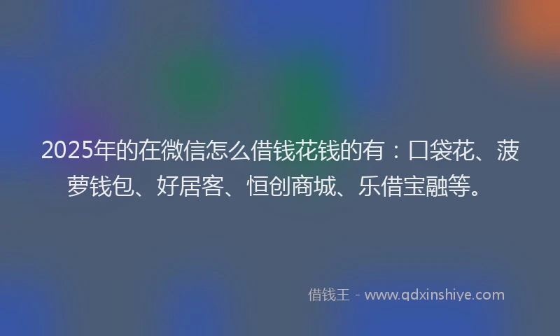 2025年的在微信怎么借钱花钱的有：口袋花、菠萝钱包、好居客、恒创商城、乐借宝融等。
