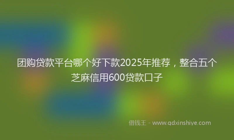 团购贷款平台哪个好下款2025年推荐，整合五个芝麻信用600贷款口子