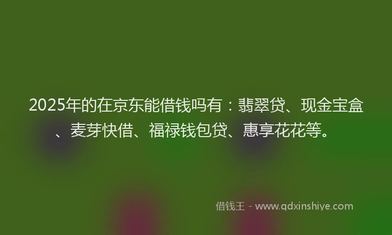 2025年的在京东能借钱吗有：翡翠贷、现金宝盒、麦芽快借、福禄钱包贷、惠享花花等。