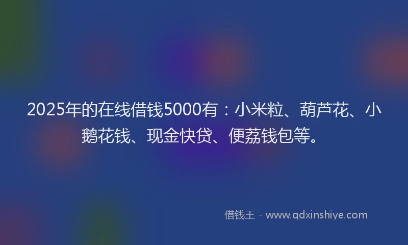 2025年的在线借钱5000有：小米粒、葫芦花、小鹅花钱、现金快贷、便荔钱包等。