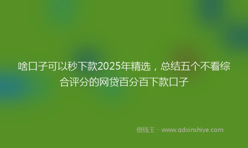 啥口子可以秒下款2025年精选，总结五个不看综合评分的网贷百分百下款口子