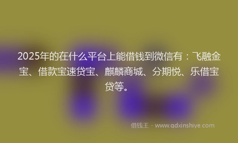 2025年的在什么平台上能借钱到微信有：飞融金宝、借款宝速贷宝、麒麟商城、分期悦、乐借宝贷等。