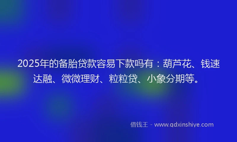 2025年的备胎贷款容易下款吗有：葫芦花、钱速达融、微微理财、粒粒贷、小象分期等。