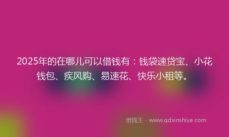 2025年的在哪儿可以借钱有：钱袋速贷宝、小花钱包、疾风购、易速花、快乐小租等。