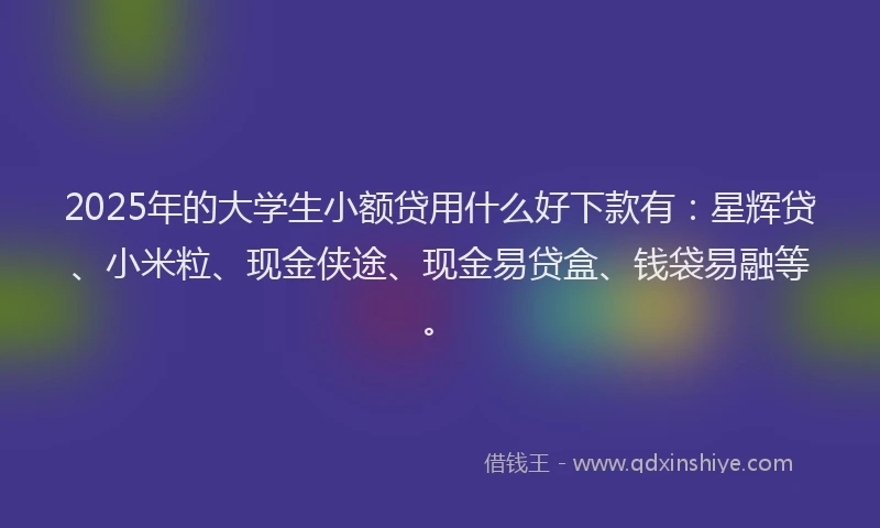 2025年的大学生小额贷用什么好下款有：星辉贷、小米粒、现金侠途、现金易贷盒、钱袋易融等。