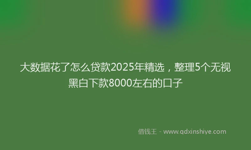 大数据花了怎么贷款2025年精选，整理5个无视黑白下款8000左右的口子