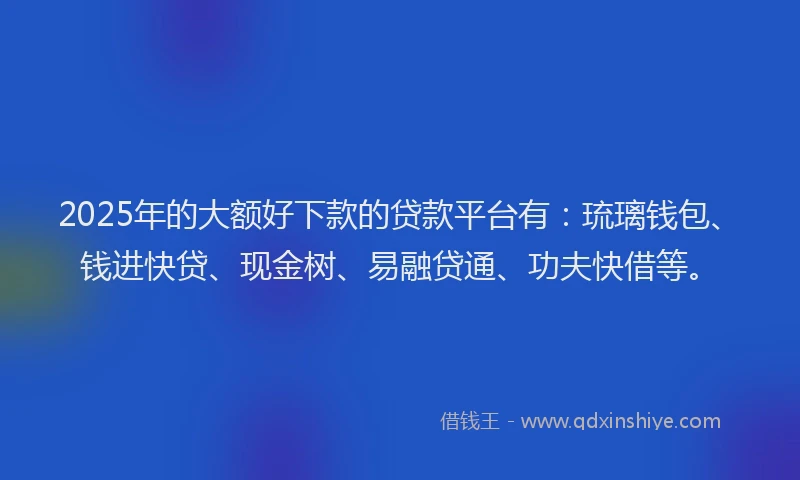 2025年的大额好下款的贷款平台有：琉璃钱包、钱进快贷、现金树、易融贷通、功夫快借等。