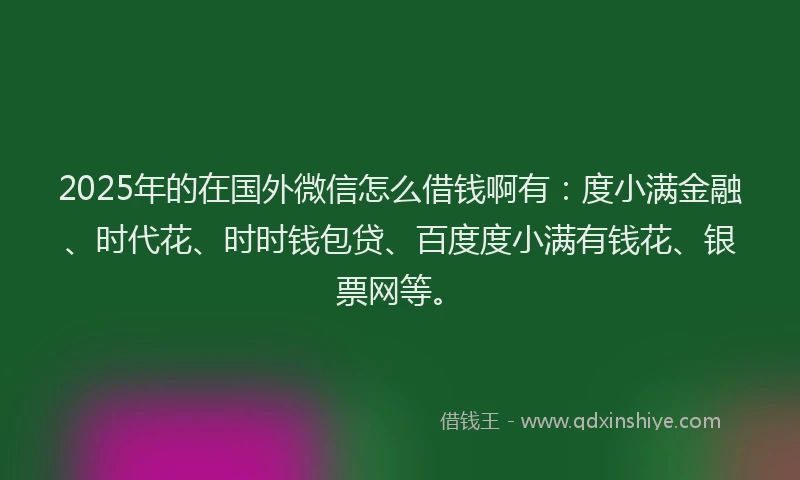 2025年的在国外微信怎么借钱啊有：度小满金融、时代花、时时钱包贷、百度度小满有钱花、银票网等。