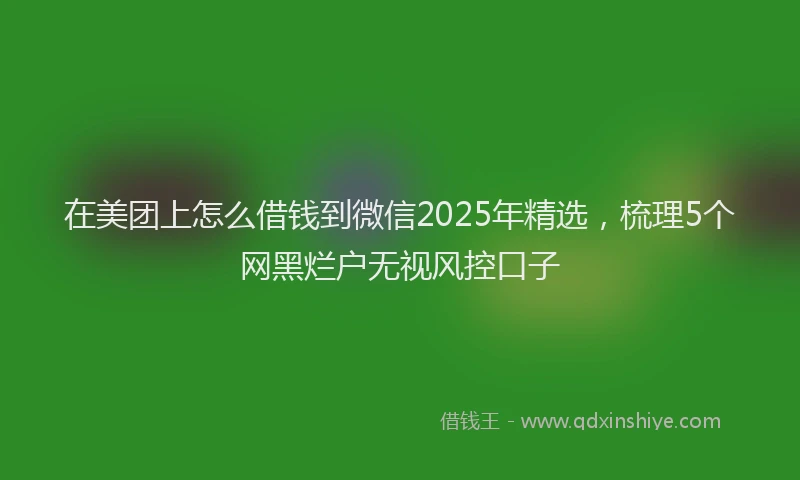 在美团上怎么借钱到微信2025年精选，梳理5个网黑烂户无视风控口子