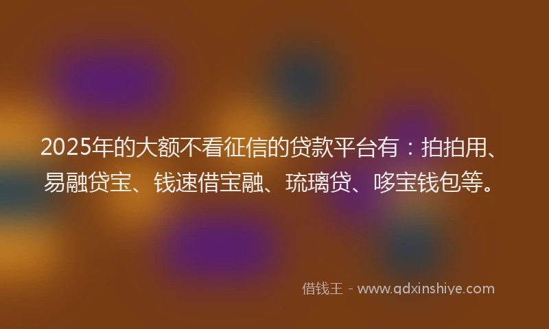 2025年的大额不看征信的贷款平台有：拍拍用、易融贷宝、钱速借宝融、琉璃贷、哆宝钱包等。
