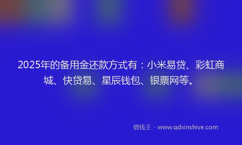 2025年的备用金还款方式有：小米易贷、彩虹商城、快贷易、星辰钱包、银票网等。