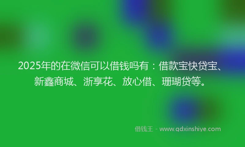 2025年的在微信可以借钱吗有：借款宝快贷宝、新鑫商城、浙享花、放心借、珊瑚贷等。