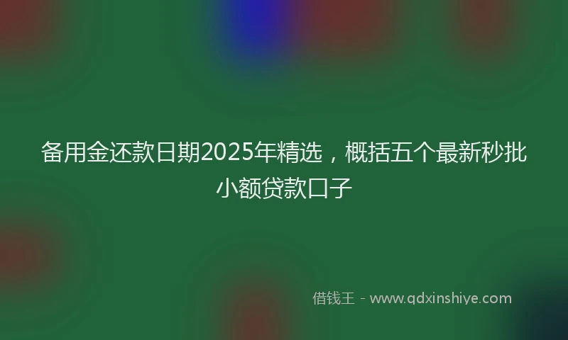 备用金还款日期2025年精选，概括五个最新秒批小额贷款口子