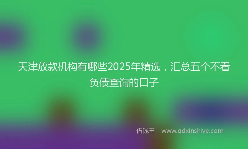 天津放款机构有哪些2025年精选，汇总五个不看负债查询的口子