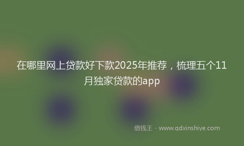 在哪里网上贷款好下款2025年推荐，梳理五个11月独家贷款的app
