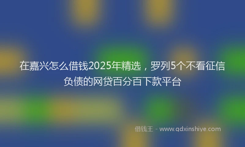 在嘉兴怎么借钱2025年精选，罗列5个不看征信负债的网贷百分百下款平台