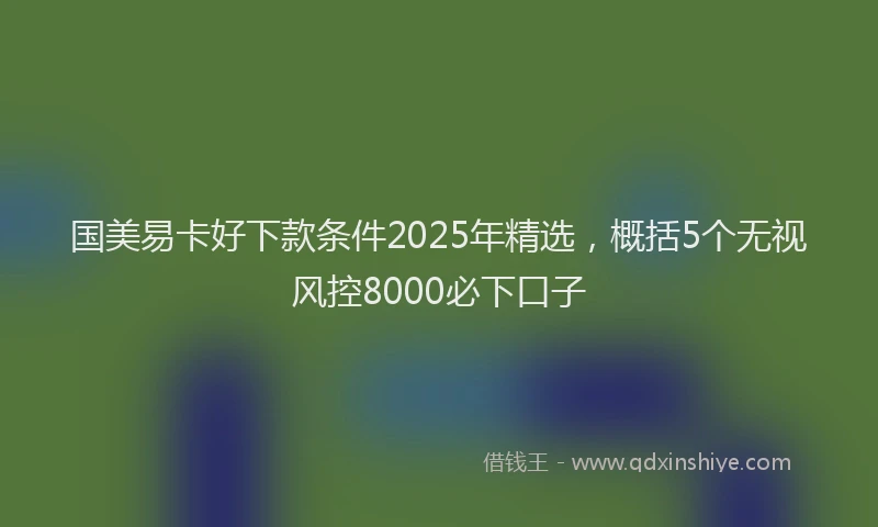 国美易卡好下款条件2025年精选，概括5个无视风控8000必下口子