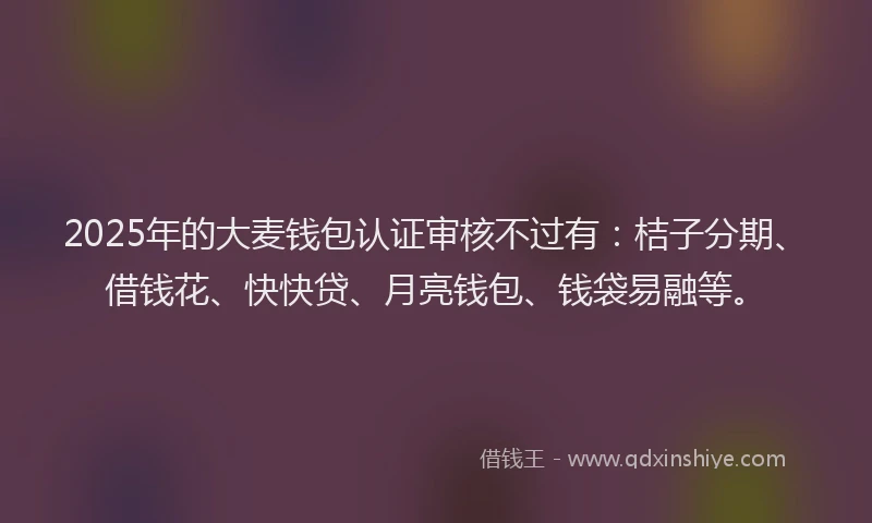 2025年的大麦钱包认证审核不过有：桔子分期、借钱花、快快贷、月亮钱包、钱袋易融等。