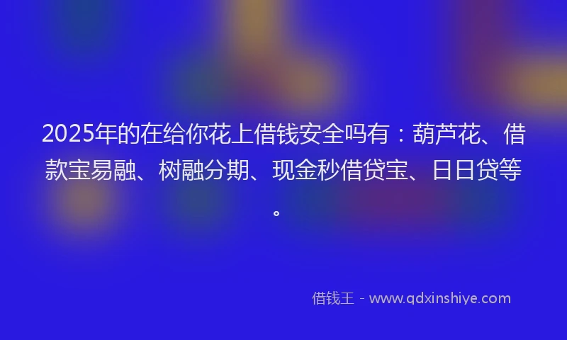 2025年的在给你花上借钱安全吗有：葫芦花、借款宝易融、树融分期、现金秒借贷宝、日日贷等。