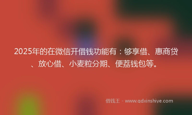 2025年的在微信开借钱功能有：够享借、惠商贷、放心借、小麦粒分期、便荔钱包等。