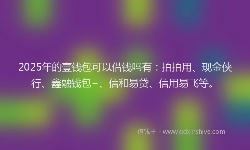 2025年的壹钱包可以借钱吗有：拍拍用、现金侠行、鑫融钱包+、信和易贷、信用易飞等。