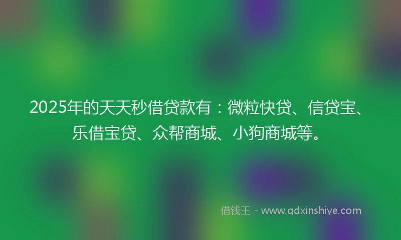2025年的天天秒借贷款有：微粒快贷、信贷宝、乐借宝贷、众帮商城、小狗商城等。