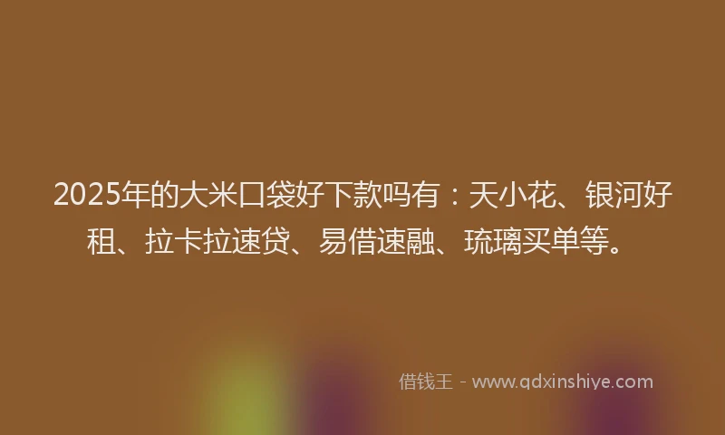 2025年的大米口袋好下款吗有：天小花、银河好租、拉卡拉速贷、易借速融、琉璃买单等。