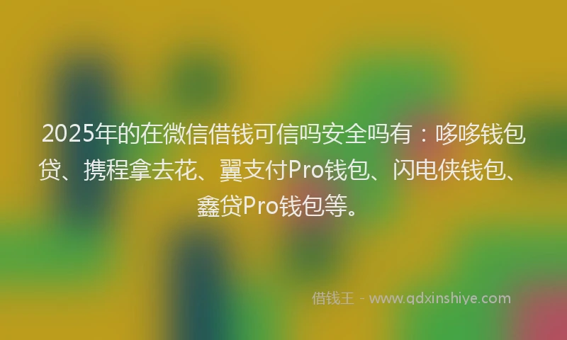2025年的在微信借钱可信吗安全吗有：哆哆钱包贷、携程拿去花、翼支付Pro钱包、闪电侠钱包、鑫贷Pro钱包等。