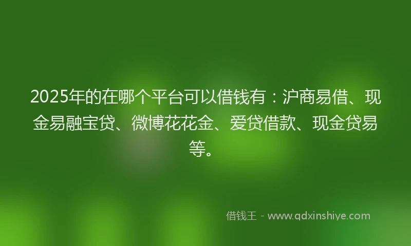 2025年的在哪个平台可以借钱有：沪商易借、现金易融宝贷、微博花花金、爱贷借款、现金贷易等。