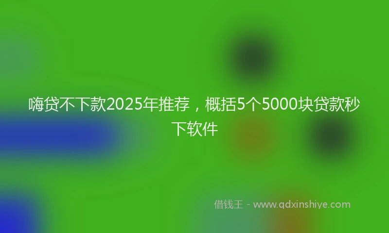 嗨贷不下款2025年推荐，概括5个5000块贷款秒下软件