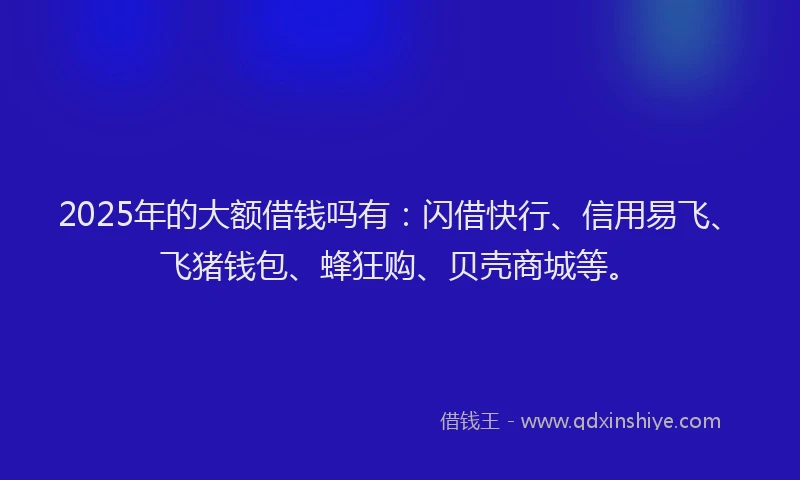 2025年的大额借钱吗有：闪借快行、信用易飞、飞猪钱包、蜂狂购、贝壳商城等。
