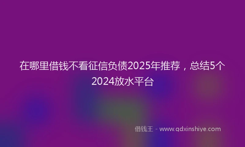 在哪里借钱不看征信负债2025年推荐，总结5个2024放水平台