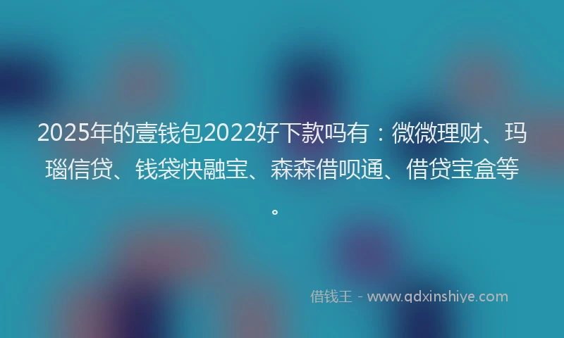 2025年的壹钱包2022好下款吗有：微微理财、玛瑙信贷、钱袋快融宝、森森借呗通、借贷宝盒等。