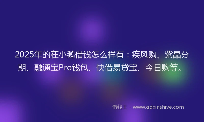 2025年的在小鹅借钱怎么样有：疾风购、紫晶分期、融通宝Pro钱包、快借易贷宝、今日购等。