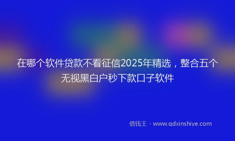 在哪个软件贷款不看征信2025年精选，整合五个无视黑白户秒下款口子软件