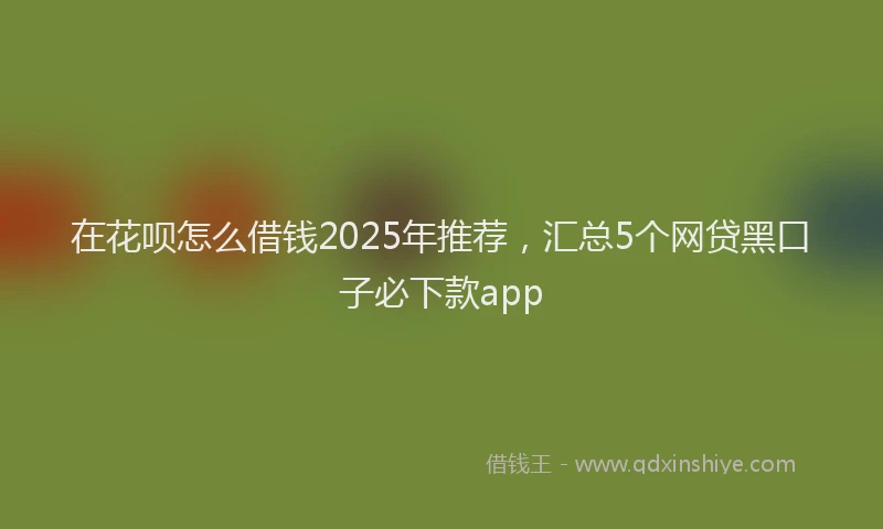 在花呗怎么借钱2025年推荐，汇总5个网贷黑口子必下款app