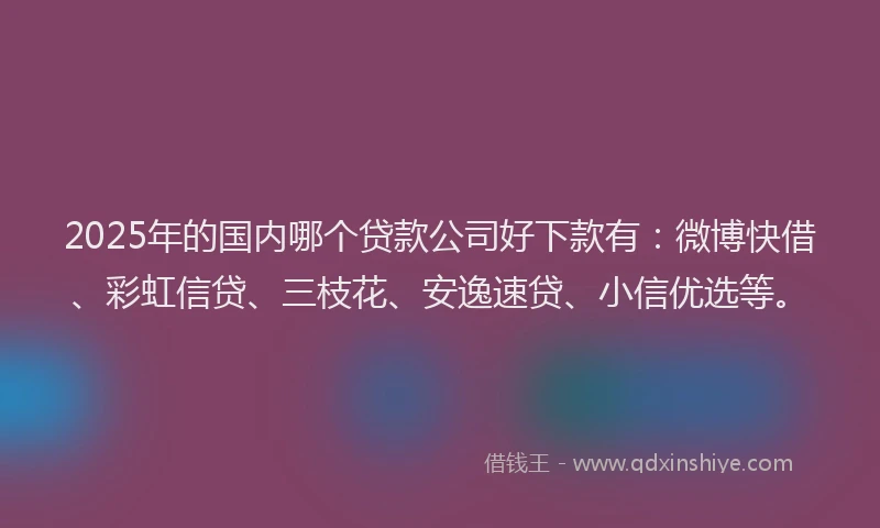 2025年的国内哪个贷款公司好下款有：微博快借、彩虹信贷、三枝花、安逸速贷、小信优选等。