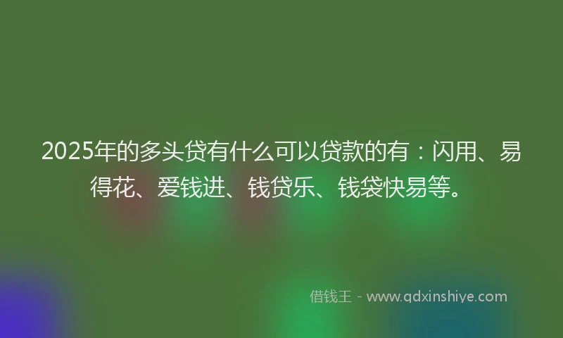 2025年的多头贷有什么可以贷款的有：闪用、易得花、爱钱进、钱贷乐、钱袋快易等。
