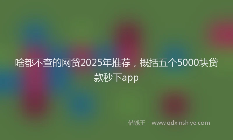 啥都不查的网贷2025年推荐，概括五个5000块贷款秒下app