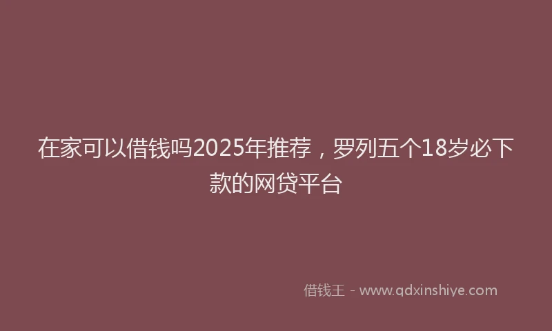 在家可以借钱吗2025年推荐，罗列五个18岁必下款的网贷平台