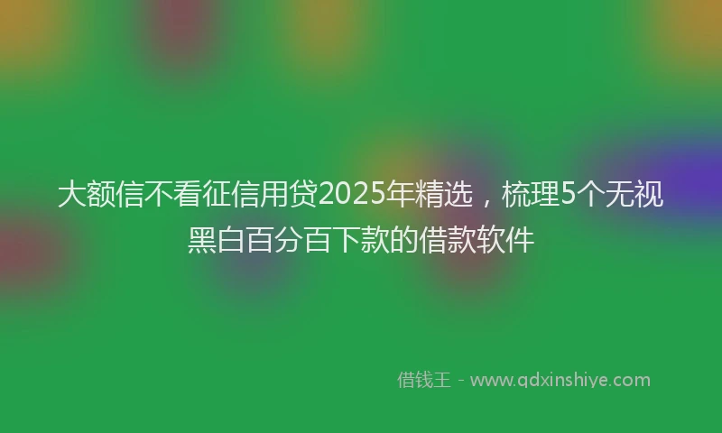 大额信不看征信用贷2025年精选，梳理5个无视黑白百分百下款的借款软件