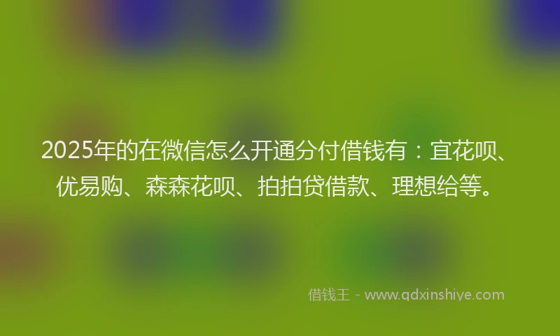 2025年的在微信怎么开通分付借钱有：宜花呗、优易购、森森花呗、拍拍贷借款、理想给等。