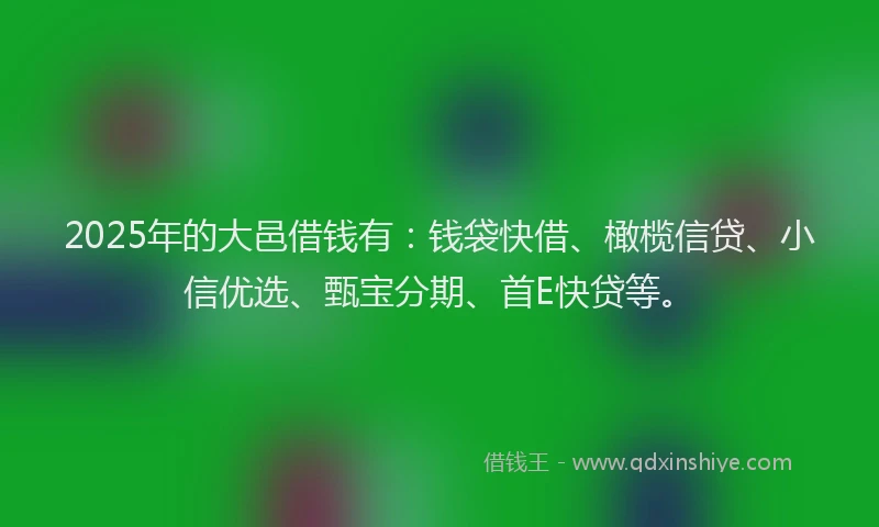 2025年的大邑借钱有：钱袋快借、橄榄信贷、小信优选、甄宝分期、首E快贷等。