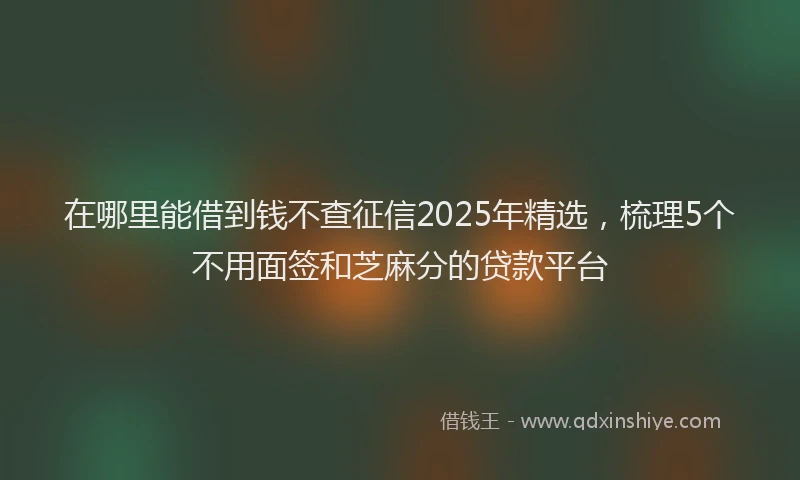 在哪里能借到钱不查征信2025年精选，梳理5个不用面签和芝麻分的贷款平台