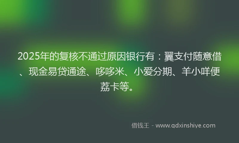 2025年的复核不通过原因银行有：翼支付随意借、现金易贷通途、哆哆米、小爱分期、羊小咩便荔卡等。