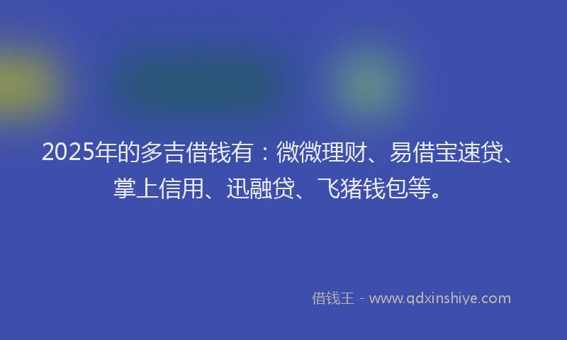 2025年的多吉借钱有：微微理财、易借宝速贷、掌上信用、迅融贷、飞猪钱包等。