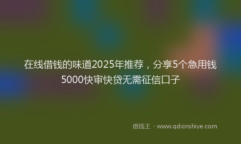 在线借钱的味道2025年推荐，分享5个急用钱5000快审快贷无需征信口子